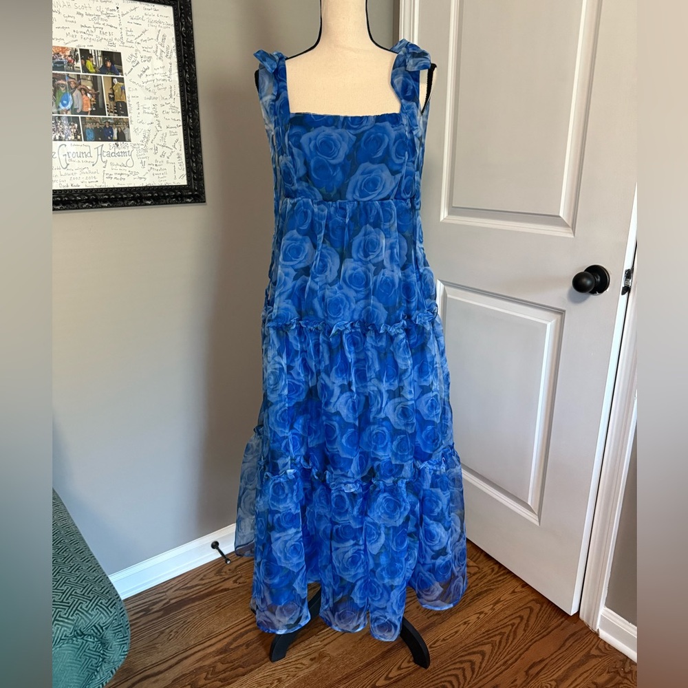 GORGEOUS NWT INA blue floral dress
